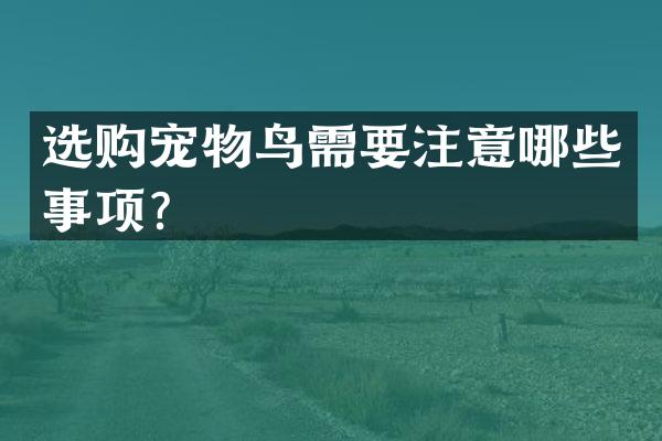 选购宠物鸟需要注意哪些事项？