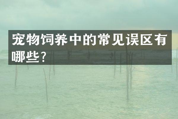 宠物饲养中的常见误区有哪些？
