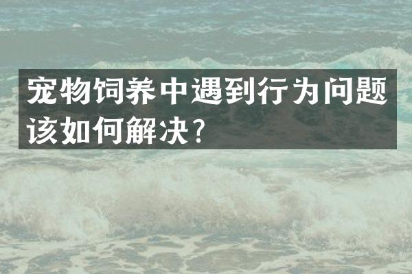 宠物饲养中遇到行为问题该如何解决？
