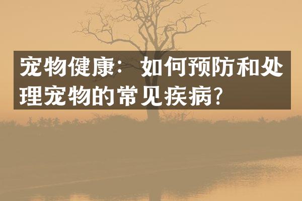 宠物健康：如何预防和处理宠物的常见疾病？