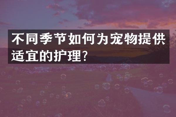 不同季节如何为宠物提供适宜的护理？