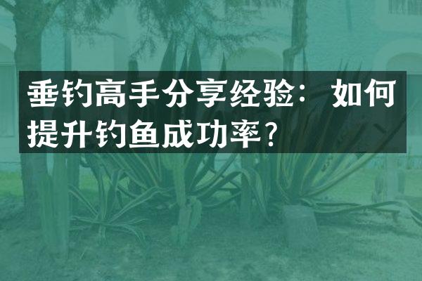 垂钓高手分享经验：如何提升钓鱼成功率？