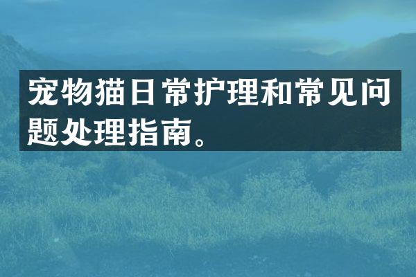 宠物猫日常护理和常见问题处理指南。