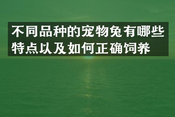 不同品种的宠物兔有哪些特点以及如何正确饲养？
