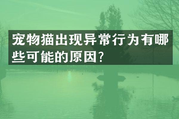 宠物猫出现异常行为有哪些可能的原因？