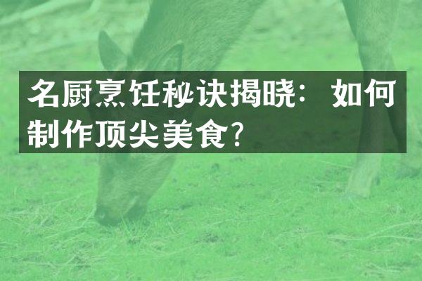 名厨烹饪秘诀揭晓：如何制作顶尖美食？