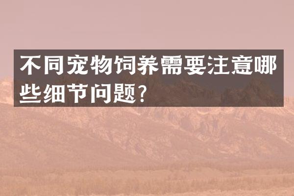 不同宠物饲养需要注意哪些细节问题？