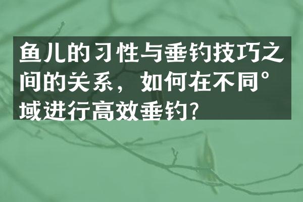 鱼儿的习性与垂钓技巧之间的关系，如何在不同水域进行高效垂钓？