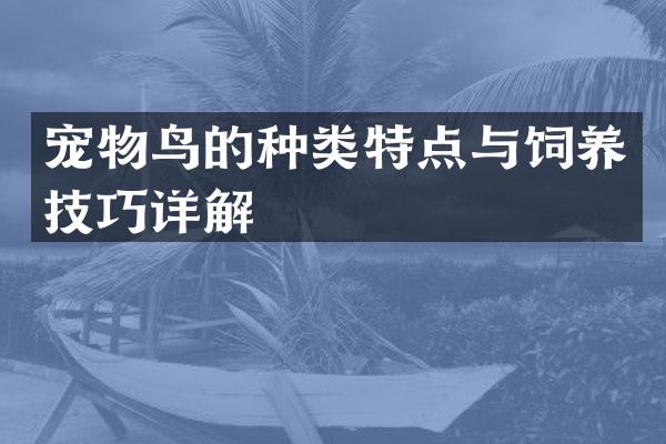 宠物鸟的种类特点与饲养技巧详解