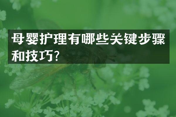 母婴护理有哪些关键步骤和技巧？