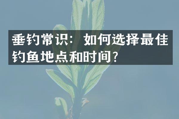 垂钓常识：如何选择最佳钓鱼地点和时间？