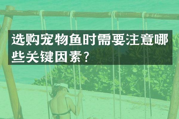 选购宠物鱼时需要注意哪些关键因素？