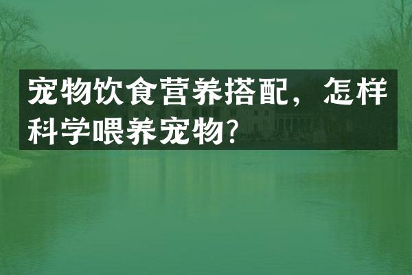 宠物饮食营养搭配，怎样科学喂养宠物？