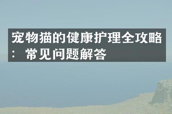 宠物猫的健康护理全攻略：常见问题解答