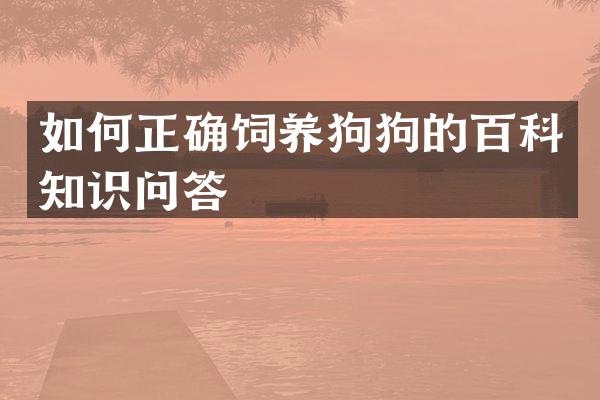 如何正确饲养狗狗的百科知识问答
