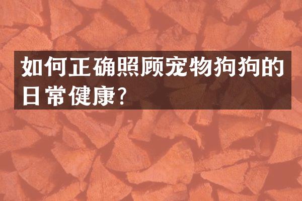 如何正确照顾宠物狗狗的日常健康？