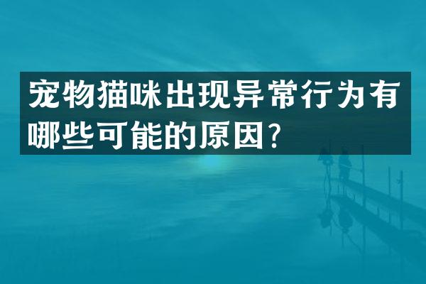 宠物猫咪出现异常行为有哪些可能的原因？