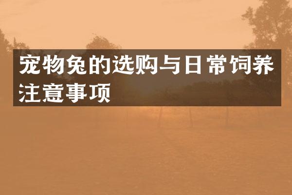 宠物兔的选购与日常饲养注意事项