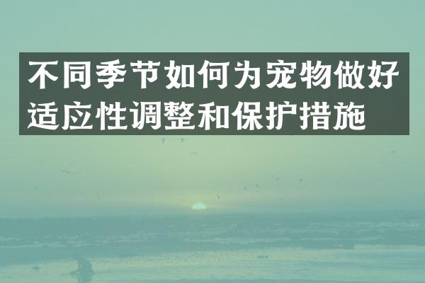 不同季节如何为宠物做好适应性调整和保护措施？