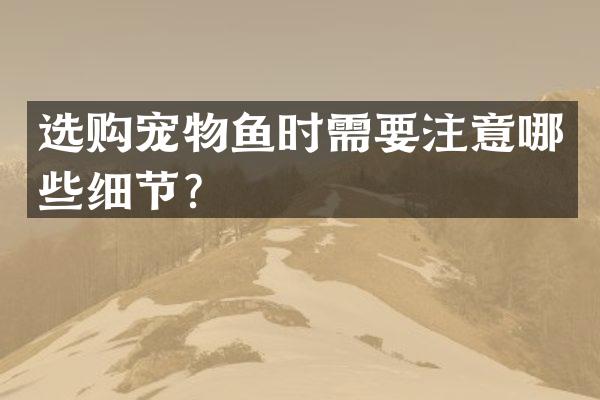 选购宠物鱼时需要注意哪些细节？