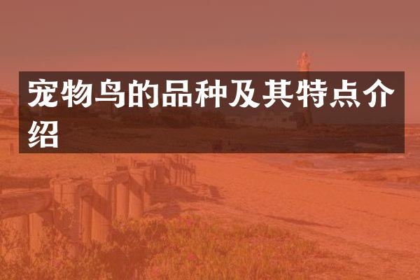 宠物鸟的品种及其特点介绍