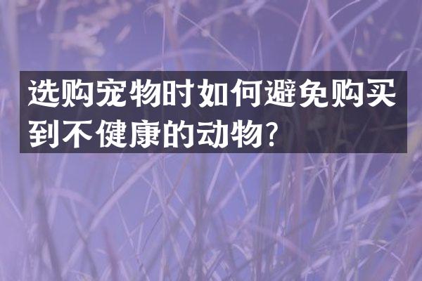 选购宠物时如何避免购买到不健康的动物？