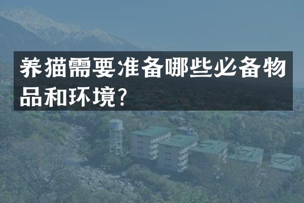 养猫需要准备哪些必备物品和环境？