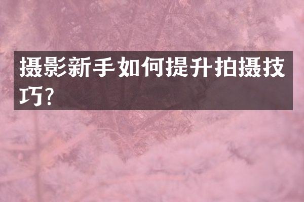 摄影新手如何提升拍摄技巧？
