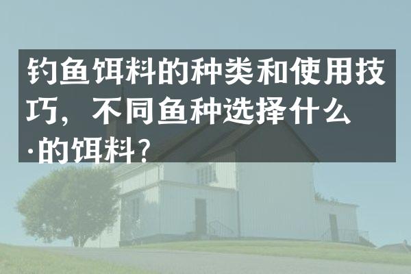 钓鱼饵料的种类和使用技巧，不同鱼种选择什么样的饵料？