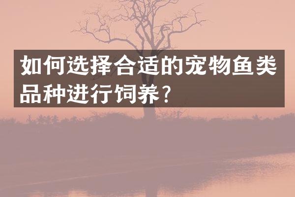 如何选择合适的宠物鱼类品种进行饲养？