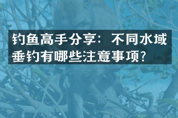 钓鱼高手分享：不同水域垂钓有哪些注意事项？