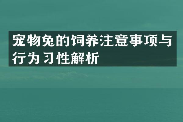 宠物兔的饲养注意事项与行为习性解析