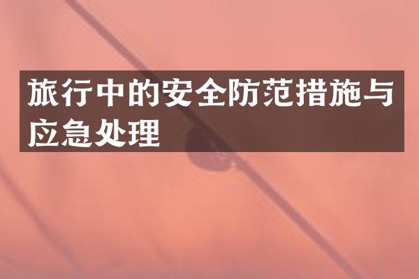 旅行中的安全防范措施与应急处理