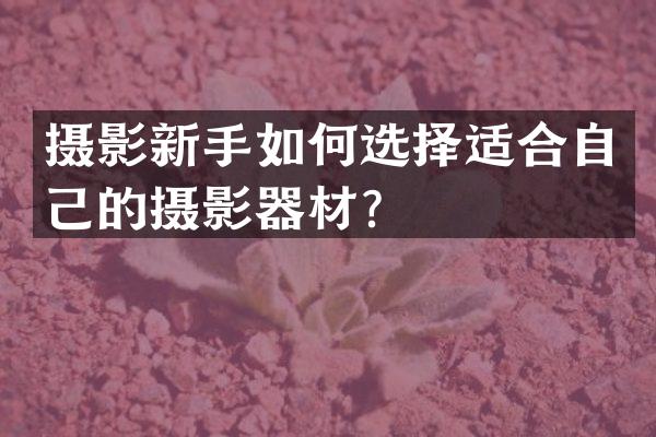 摄影新手如何选择适合自己的摄影器材？