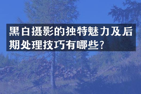 黑白摄影的独特魅力及后期处理技巧有哪些？