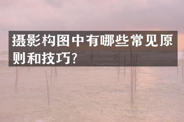 摄影构图中有哪些常见原则和技巧？