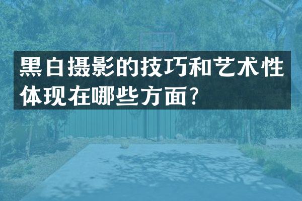 黑白摄影的技巧和艺术性体现在哪些方面？