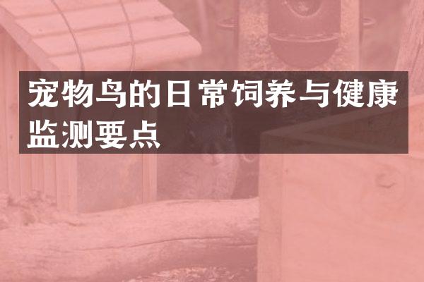 宠物鸟的日常饲养与健康监测要点