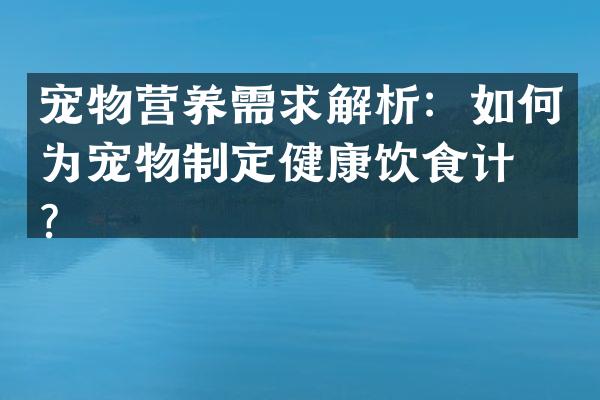 宠物营养需求解析：如何为宠物制定健康饮食计划？