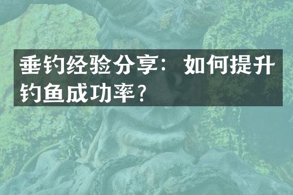 垂钓经验分享：如何提升钓鱼成功率？