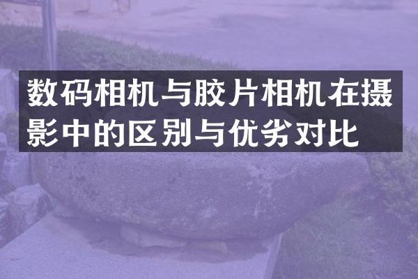 数码相机与胶片相机在摄影中的区别与优劣对比