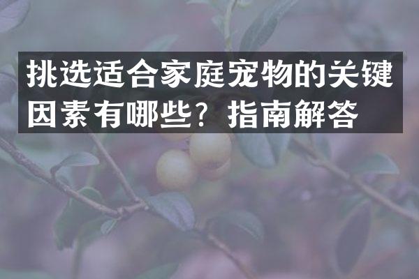 挑选适合家庭宠物的关键因素有哪些？指南解答。