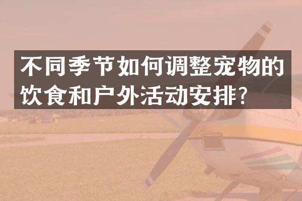 不同季节如何调整宠物的饮食和户外活动安排？