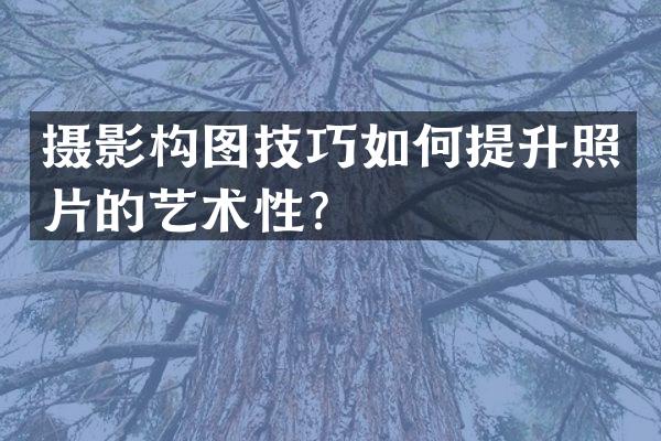 摄影构图技巧如何提升照片的艺术性？