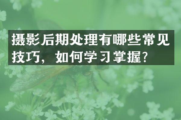 摄影后期处理有哪些常见技巧，如何学习掌握？