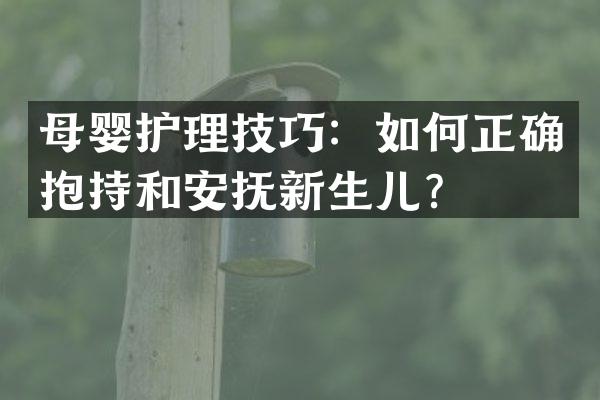 母婴护理技巧：如何正确抱持和安抚新生儿？