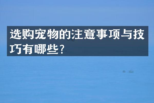 选购宠物的注意事项与技巧有哪些？