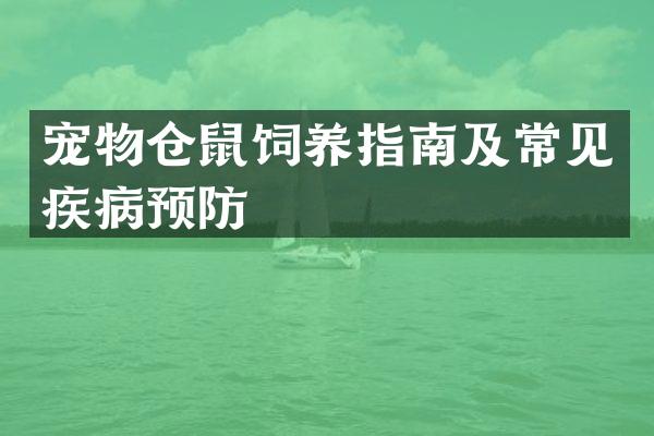 宠物仓鼠饲养指南及常见疾病预防