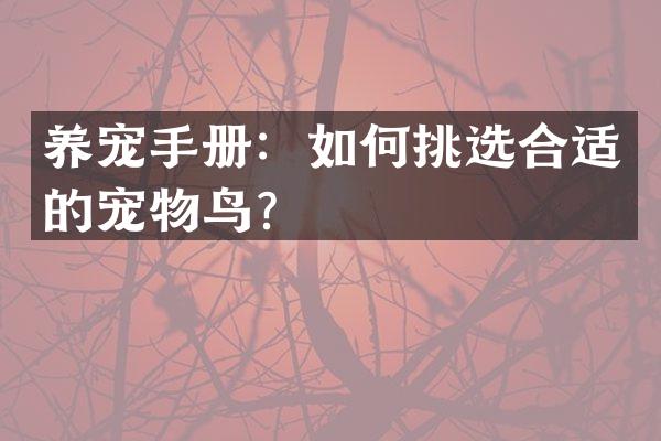 养宠手册：如何挑选合适的宠物鸟？