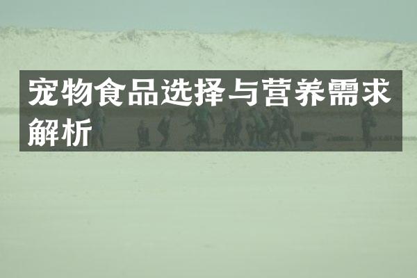 宠物食品选择与营养需求解析